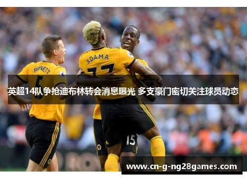 英超14队争抢迪布林转会消息曝光 多支豪门密切关注球员动态