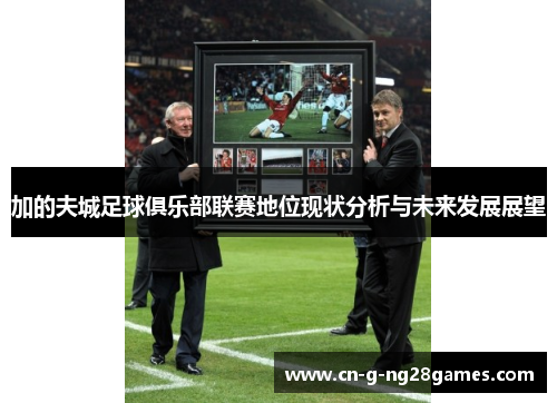 加的夫城足球俱乐部联赛地位现状分析与未来发展展望