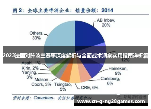 2023法国对阵波兰赛事深度解析与全面战术洞察实用指南详析篇