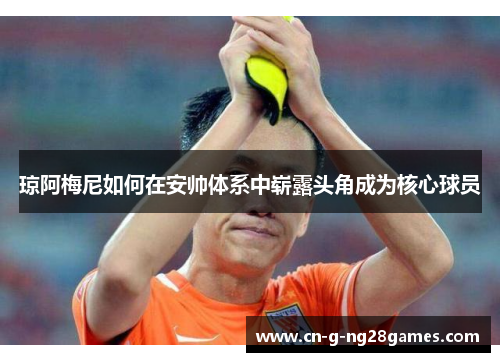 琼阿梅尼如何在安帅体系中崭露头角成为核心球员